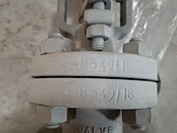 Balgklep bvalve, 2506x - afbeelding 5 van  8