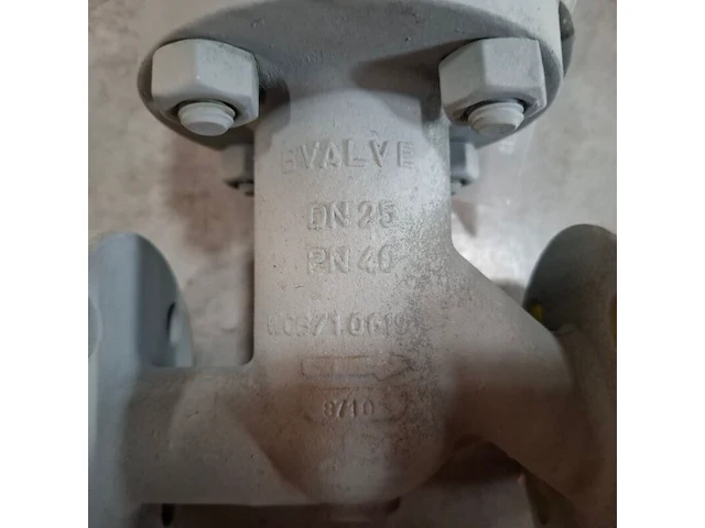Balgklep bvalve, 2506x - afbeelding 6 van  8