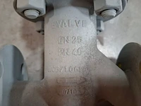 Balgklep bvalve, 2506x - afbeelding 6 van  8