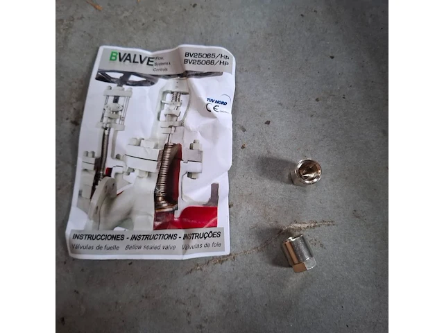 Balgklep bvalve, 2506x - afbeelding 7 van  8