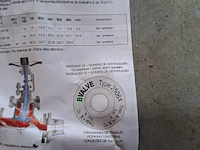 Balgklep bvalve, 2506x - afbeelding 8 van  8