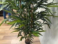 Bamboe kunstplant (180cm hoog) - afbeelding 2 van  9