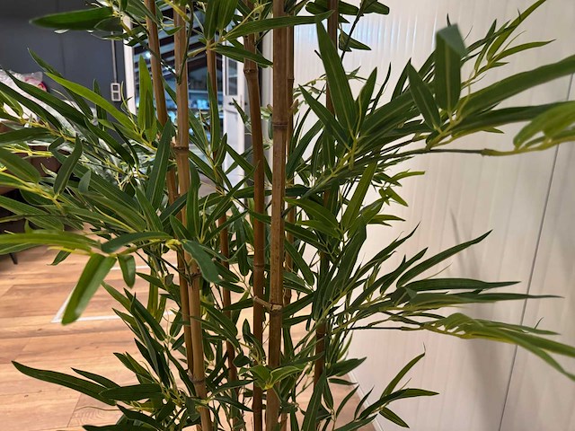 Bamboe kunstplant (210cm hoog) - afbeelding 14 van  14