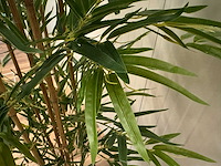 Bamboe kunstplant (210cm hoog) - afbeelding 3 van  9