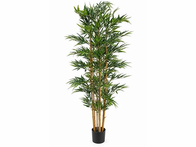 Bamboe kunstplant (210cm hoog) - afbeelding 1 van  3
