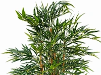 Bamboe kunstplant (210cm hoog) - afbeelding 2 van  3