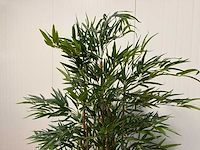 Bamboe kunstplant (2x) (210cm hoog) - afbeelding 12 van  14