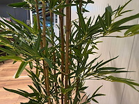 Bamboe kunstplant (2x) (210cm hoog) - afbeelding 14 van  14