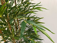 Bamboe kunstplant (2x) (210cm hoog) - afbeelding 4 van  14