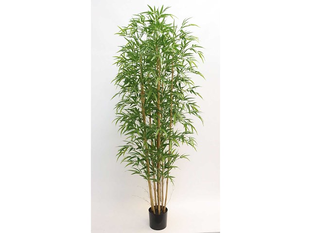 Bamboe kunstplant (2x) (210cm hoog) - afbeelding 7 van  14