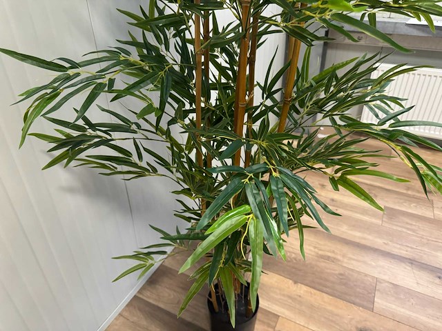 Bamboe kunstplant (2x) (210cm hoog) - afbeelding 11 van  14