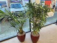 Bamboe kunstplant in stenen pot (2x) - afbeelding 1 van  3