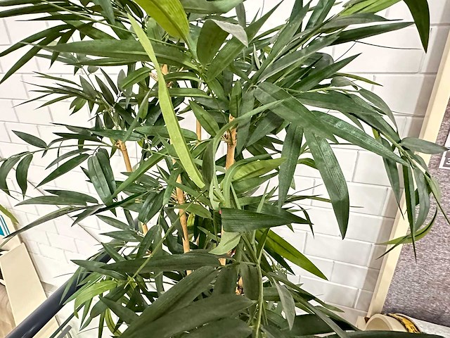 Bamboe kunstplant in stenen pot (2x) - afbeelding 2 van  4