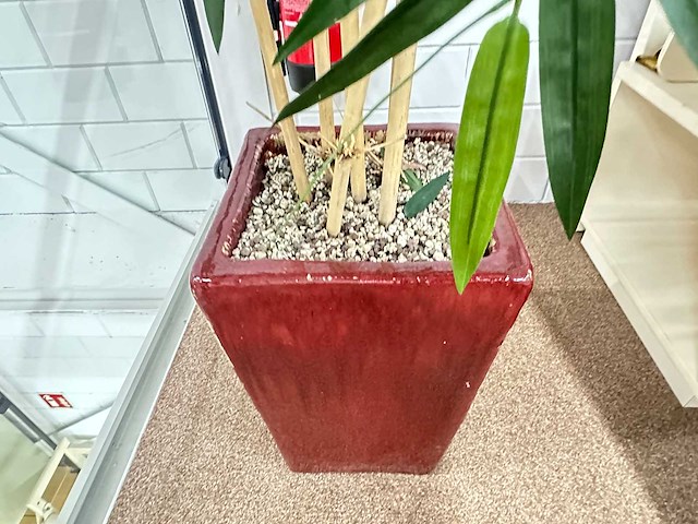 Bamboe kunstplant in stenen pot (2x) - afbeelding 3 van  4