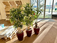 Bamboe kunstplant in stenen pot (3x) - afbeelding 1 van  3