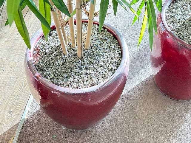 Bamboe kunstplant in stenen pot (3x) - afbeelding 3 van  3
