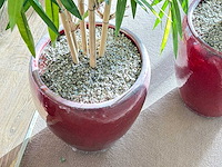 Bamboe kunstplant in stenen pot (3x) - afbeelding 3 van  3