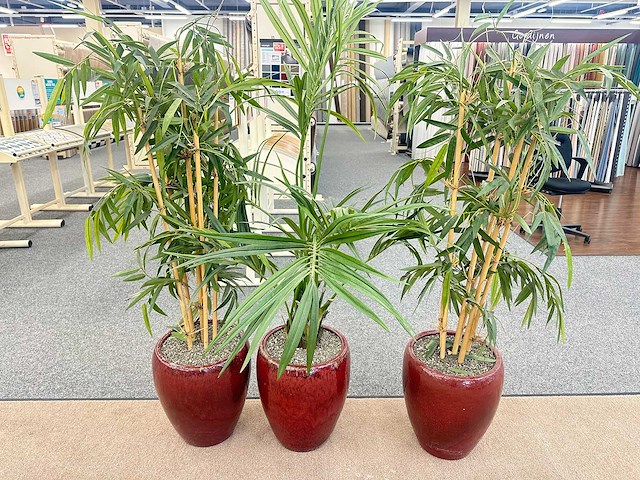 Bamboe kunstplant in stenen pot (3x) - afbeelding 1 van  3