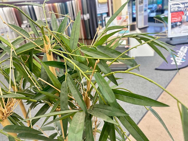 Bamboe kunstplant in stenen pot (3x) - afbeelding 2 van  3