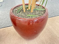 Bamboe kunstplant in stenen pot (3x) - afbeelding 3 van  3