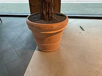 Bamboe kunstplant met pot - afbeelding 3 van  3