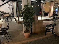 Bamboe kunstplant met pot - afbeelding 1 van  4