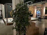 Bamboe kunstplant met pot - afbeelding 2 van  4