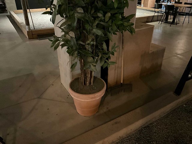 Bamboe kunstplant met pot - afbeelding 3 van  4