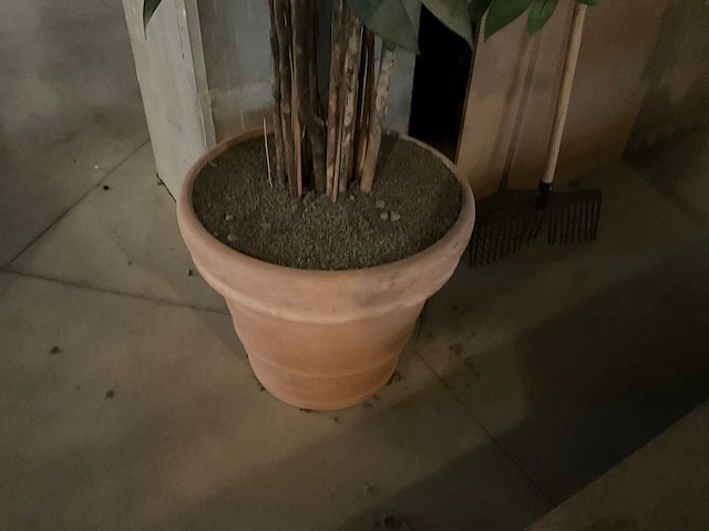 Bamboe kunstplant met pot - afbeelding 4 van  4