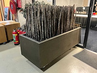 Bamboe stokken in verrijdbare presentatie bak - afbeelding 1 van  4