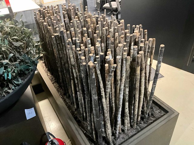 Bamboe stokken in verrijdbare presentatie bak - afbeelding 2 van  4