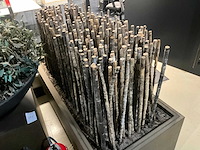 Bamboe stokken in verrijdbare presentatie bak - afbeelding 2 van  4