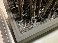 Bamboe stokken in verrijdbare presentatie bak - afbeelding 4 van  5