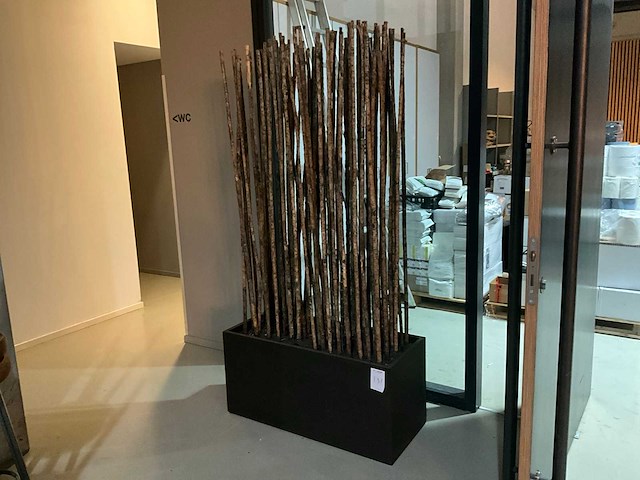 Bamboe stokken in verrijdbare presentatie bak - afbeelding 1 van  4