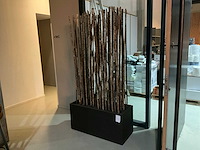 Bamboe stokken in verrijdbare presentatie bak - afbeelding 1 van  4