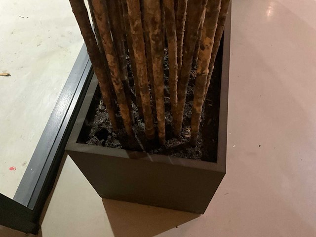 Bamboe stokken in verrijdbare presentatie bak - afbeelding 3 van  4