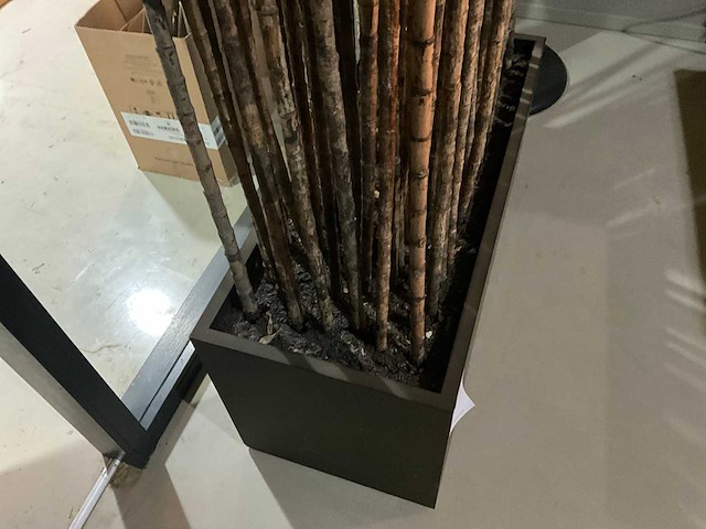 Bamboe stokken in verrijdbare presentatie bak - afbeelding 3 van  4
