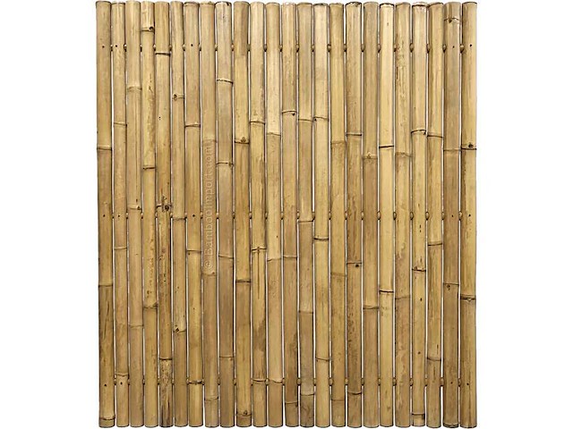 Bamboo - schutting giant naturel - tali - 900x1000 mm (45 m2) = 1 pallet - lattenscherm (50x) - afbeelding 9 van  10