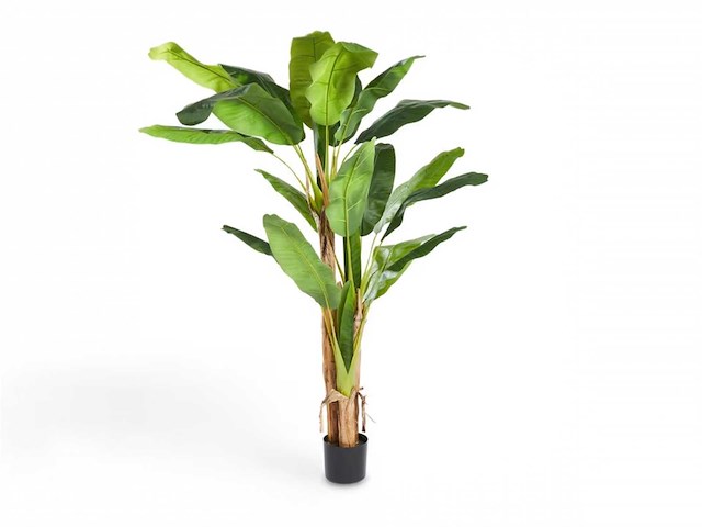 “banana” kunstplant 180 cm - afbeelding 1 van  5