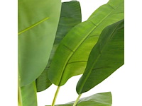 “banana” kunstplant 180 cm - afbeelding 2 van  5