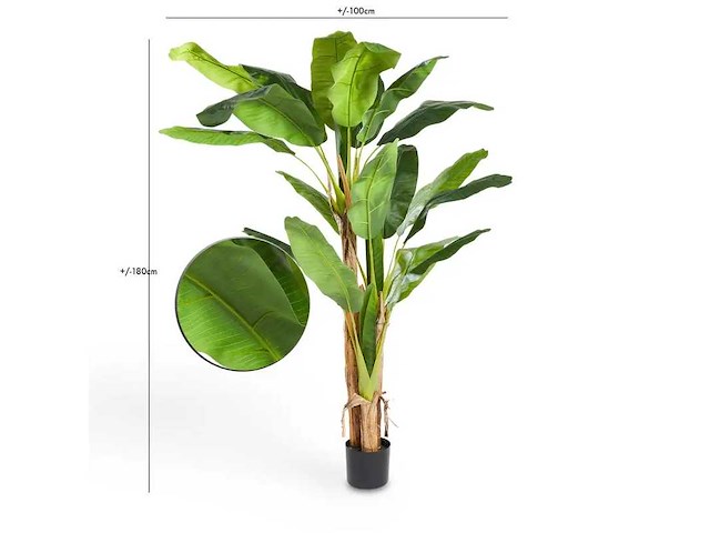 “banana” kunstplant 180 cm - afbeelding 3 van  5