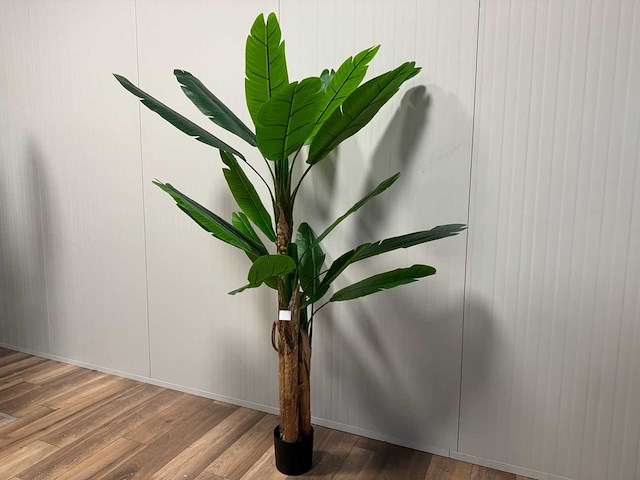 Banana tree kunstplant (185cm hoog) - afbeelding 8 van  14