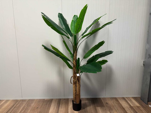 Banana tree kunstplant (185cm hoog) - afbeelding 1 van  14