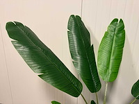 Banana tree kunstplant (185cm hoog) - afbeelding 7 van  7