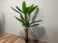 Banana tree kunstplant (185cm hoog) - afbeelding 2 van  9