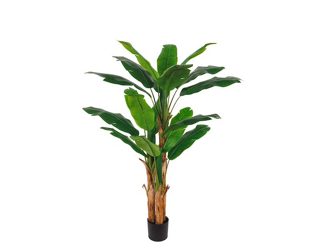 Banana tree kunstplant (185cm hoog) - afbeelding 7 van  14