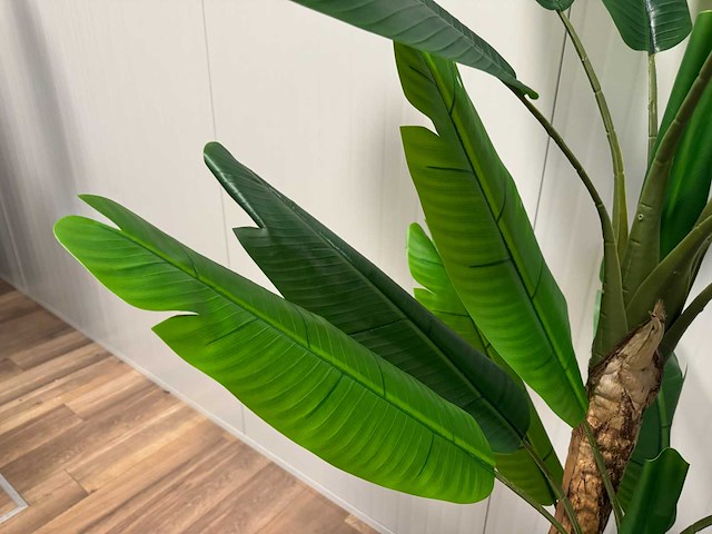 Banana tree kunstplant (185cm hoog) - afbeelding 10 van  14