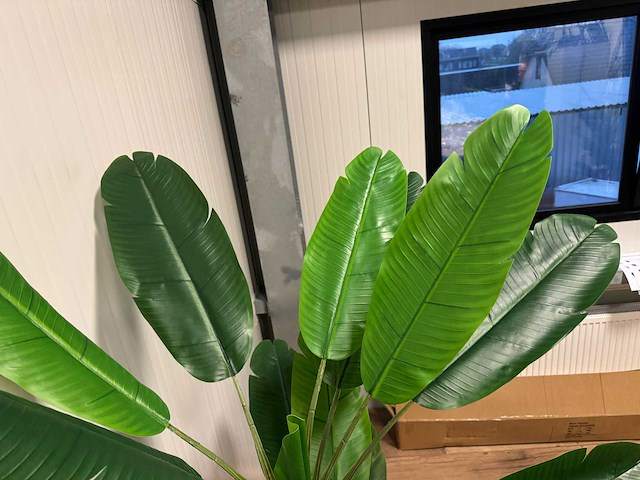 Banana tree kunstplant (185cm hoog) - afbeelding 12 van  14