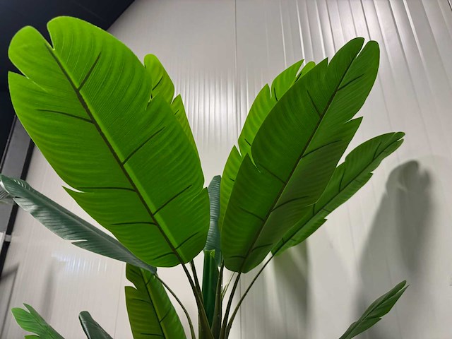 Banana tree kunstplant (185cm hoog) - afbeelding 5 van  5