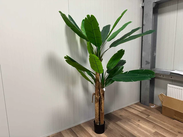 Banana tree kunstplant (185cm hoog) - afbeelding 9 van  14